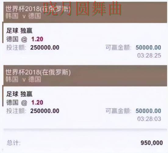 世界杯投注app为什么越来越多人关注经验分享